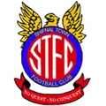 什芬尔镇